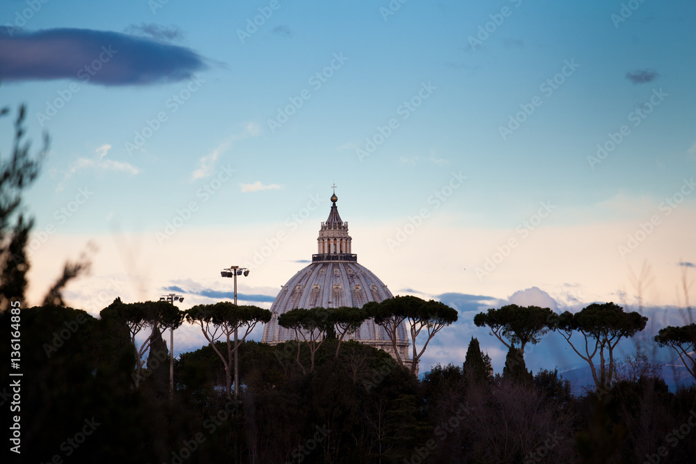 Obraz premium cupola di san pietro con pini 