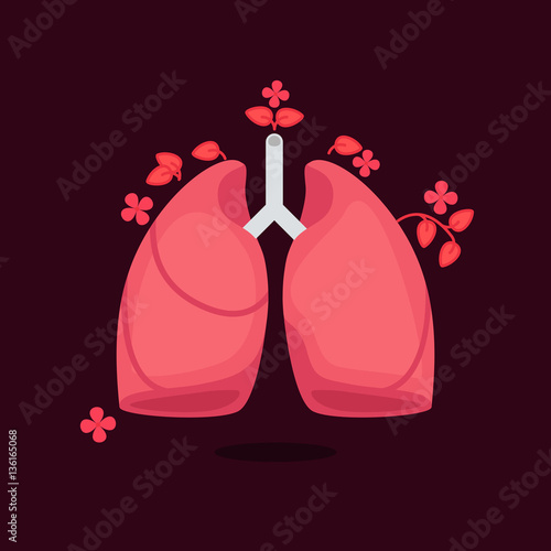 Lungs vector illustration