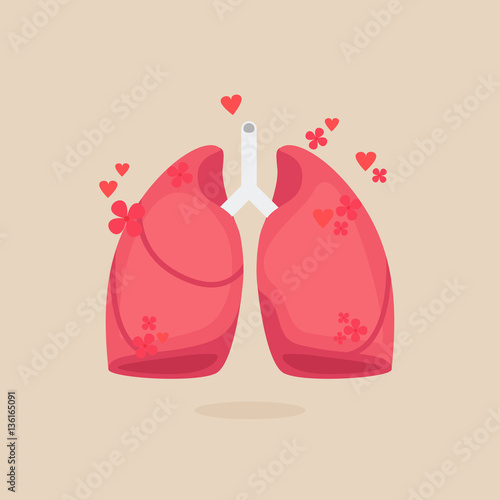 Lungs vector illustration