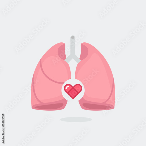Lungs vector illustration