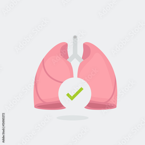 Lungs vector illustration