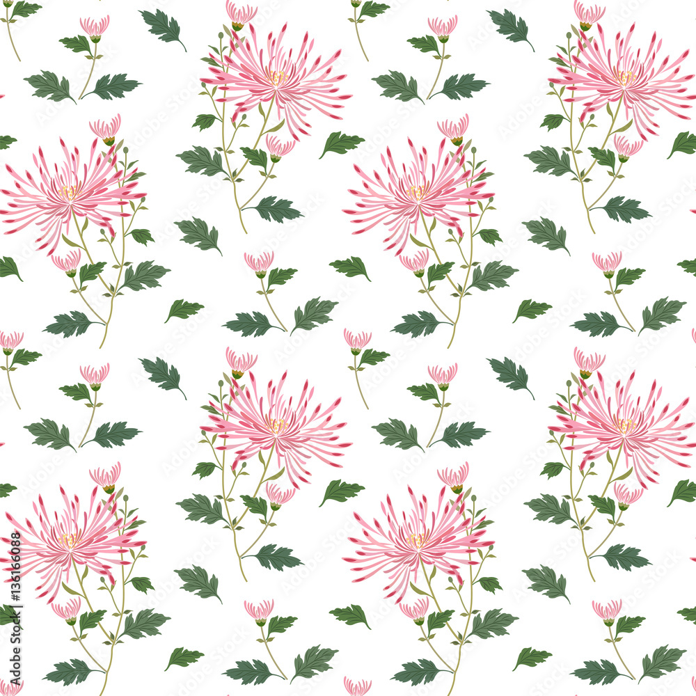Seamless pattern with a sprig of pink chrysanthemums on a white background.