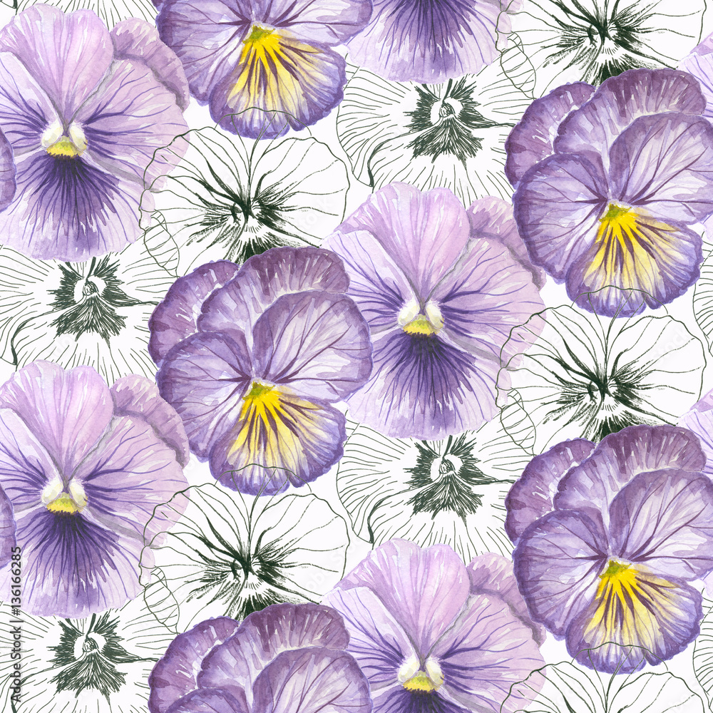 Pansies painted in watercolors and ink . Pansies painted in watercolors and ink .