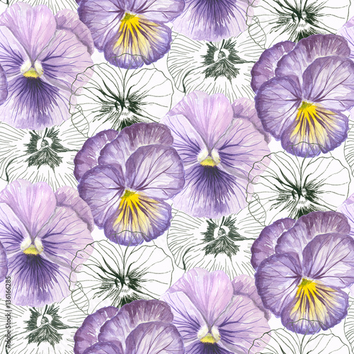 Pansies painted in watercolors and ink . 