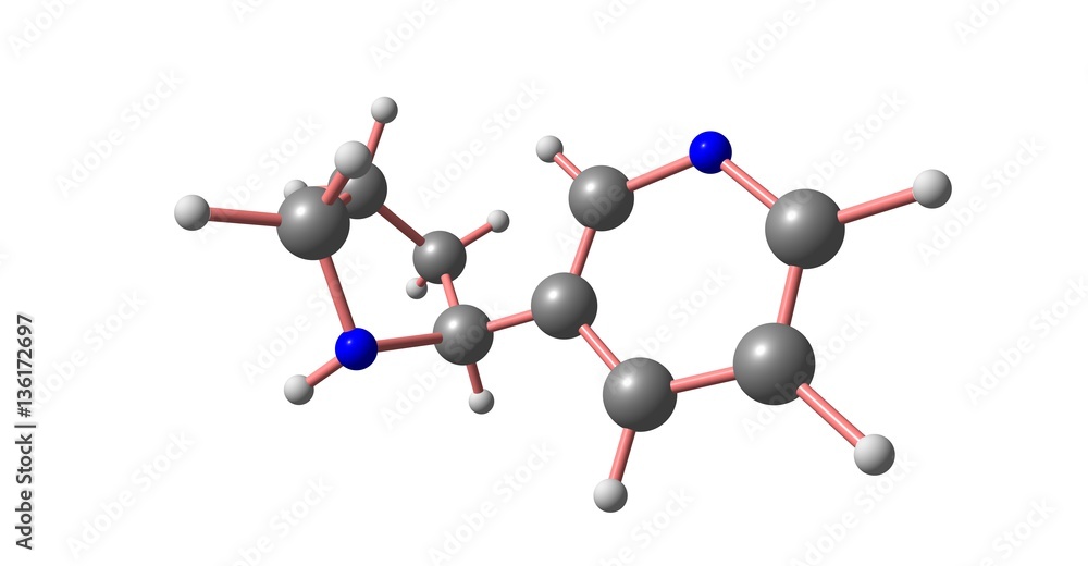 Nornicotine molecular structure isolated on white Nornicotine molecular structure isolated on white