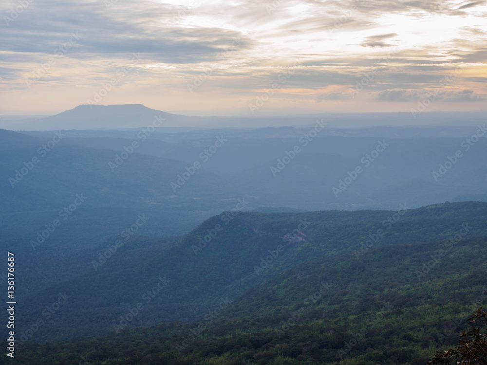 View from the top of Phu Kradueng National Park in thailand , view from cliff and pine forest