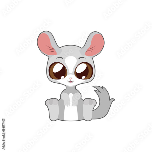 Cute chinchilla vector illustration art in flat color