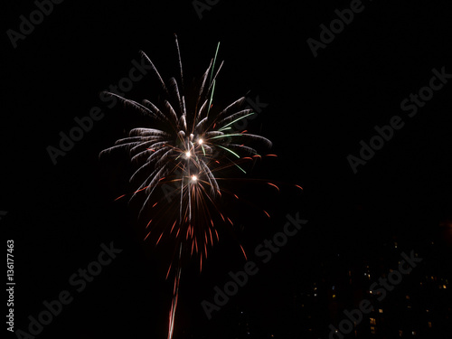 Sparkle of a colorful firework on the dark night sky