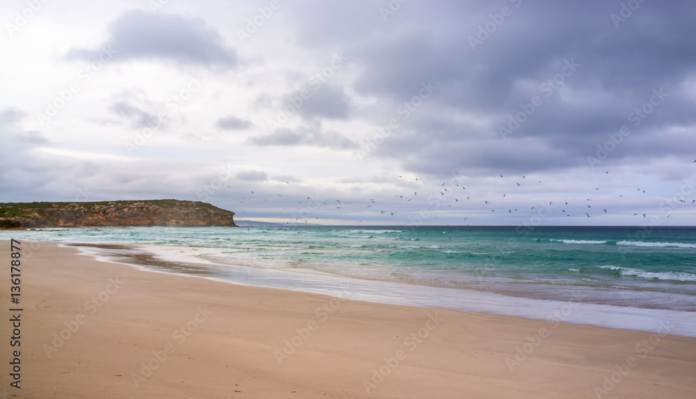 Birds flying over ocean at Pennington Bay in stormy weather. Kangaroo Island, South Australia
