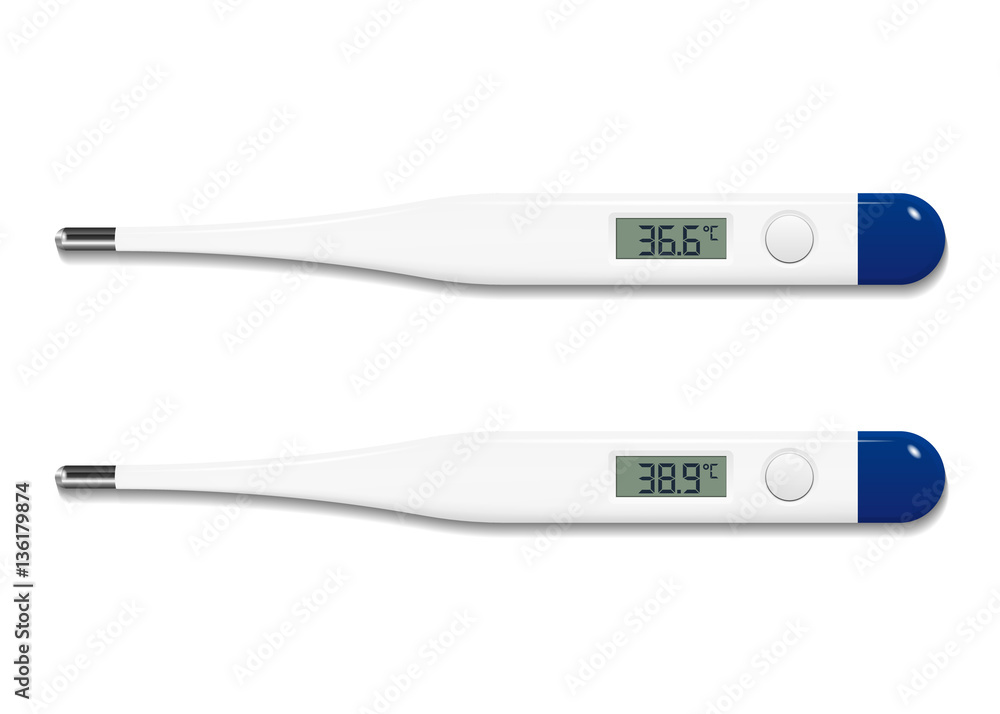Realistic electronic thermometer Realistic electronic thermometer