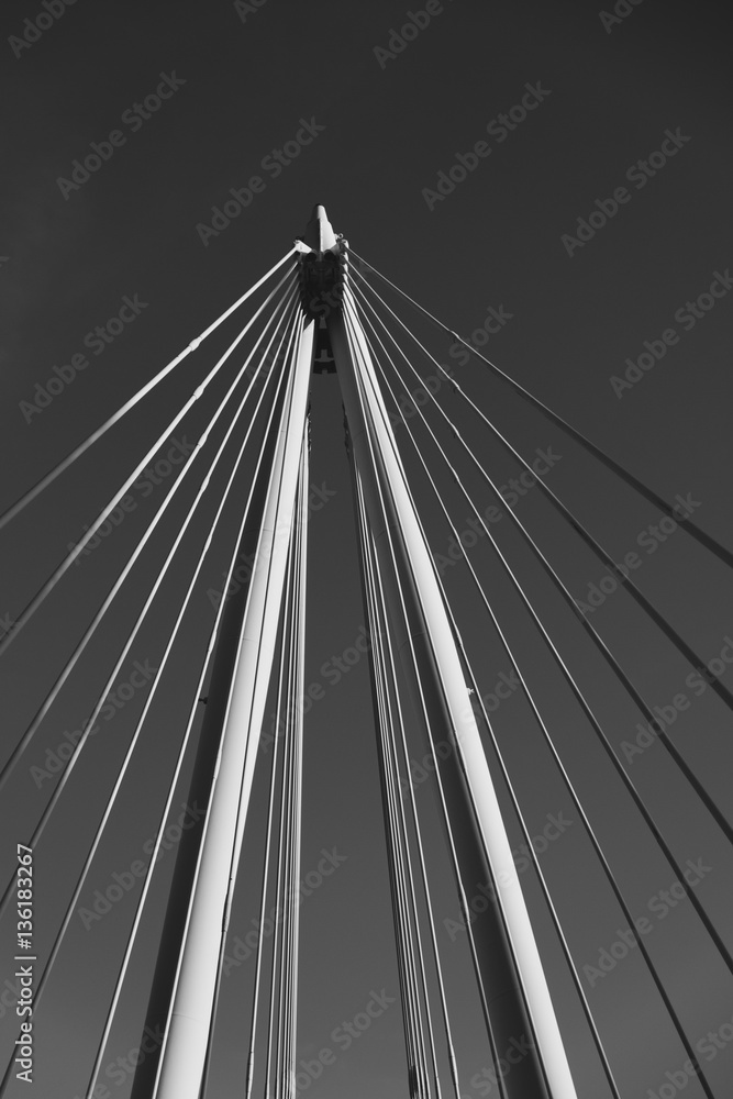 Obraz premium Bridge Cables