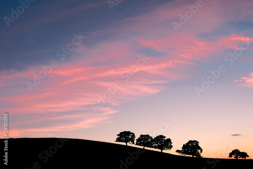 Oak on the hills silohoutte photo