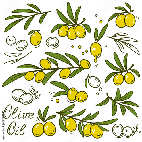 isolated olive branches set