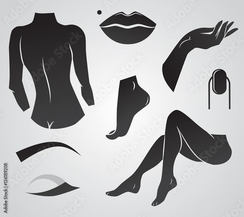 Lady body parts vector icon set.