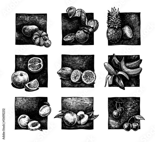 set of citrus and fruits
