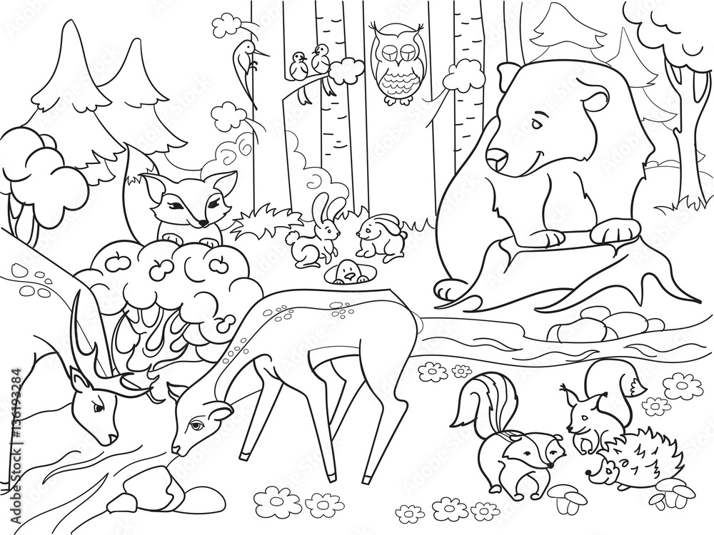 Forest cartoon animals coloring book vector Stock Vector Adobe Stock