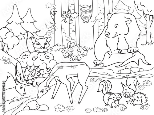 Forest Landscape with animals coloring vector for adults