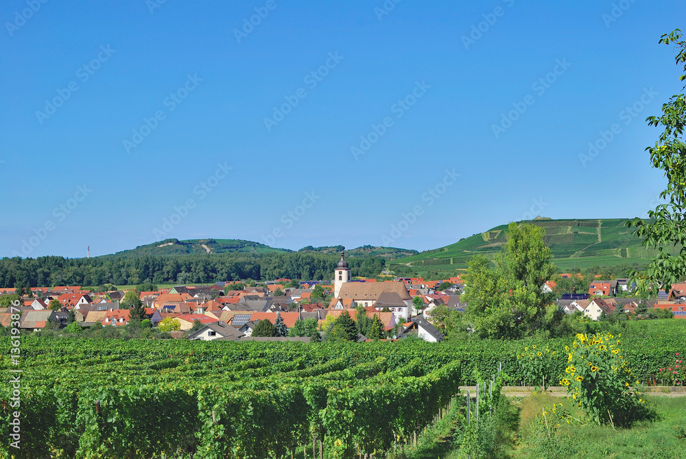Weinort Jechtingen am Kaiserstuhl im Schwarzwald,Baden-Württemberg,Deutschland