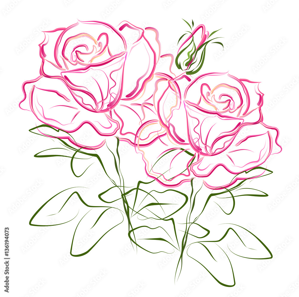 Pink roses. Hand drawn stylized color vector brush sketch of pink rose flowers for greeting cards.