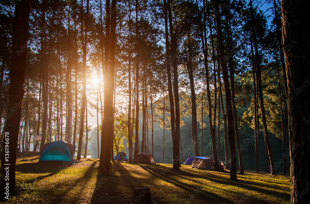 Camping and tent under the pine forest in sunset at Pang-ung, pine forest  park , Mae Hong Son, North of Thailand Stock Photo