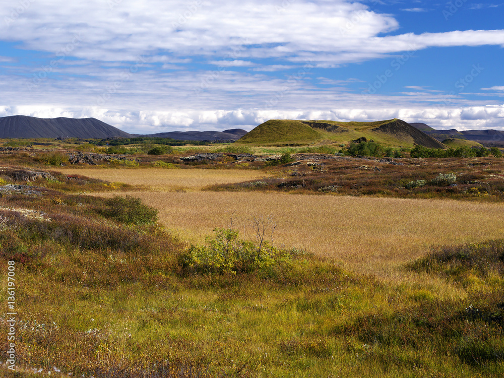 Pseudocraters near Skutustadir in the Lake Myvatn area in northern Iceland
