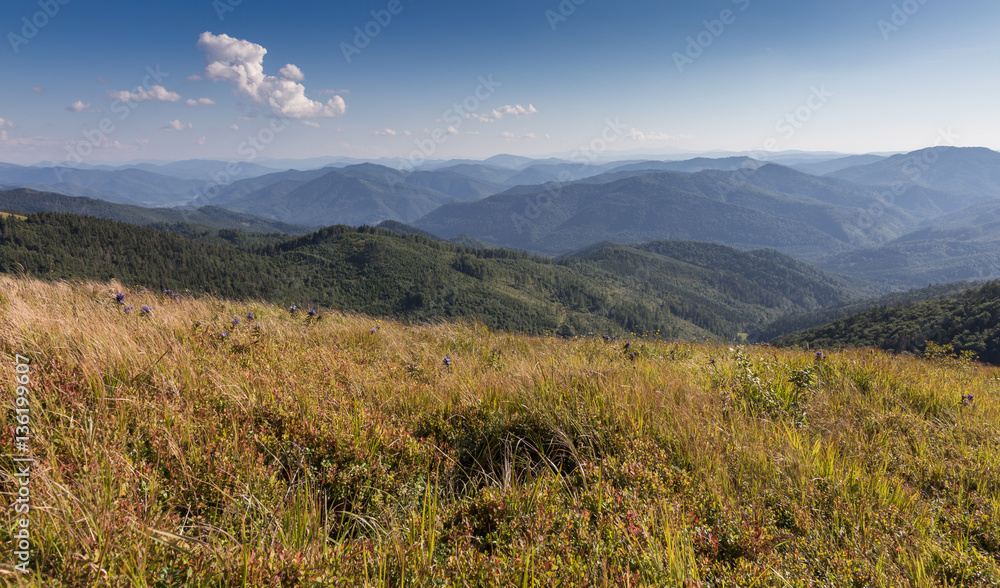 Unique summer Carpathian mountain landscape Unique summer Carpathian mountain landscape