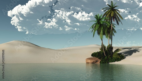 Fototapeta Naklejka Na Ścianę i Meble -  Beautiful oasis in the desert sand, palm trees on the shore of the lake
