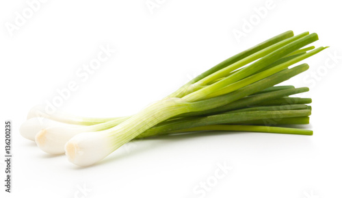 collection green onion on the white