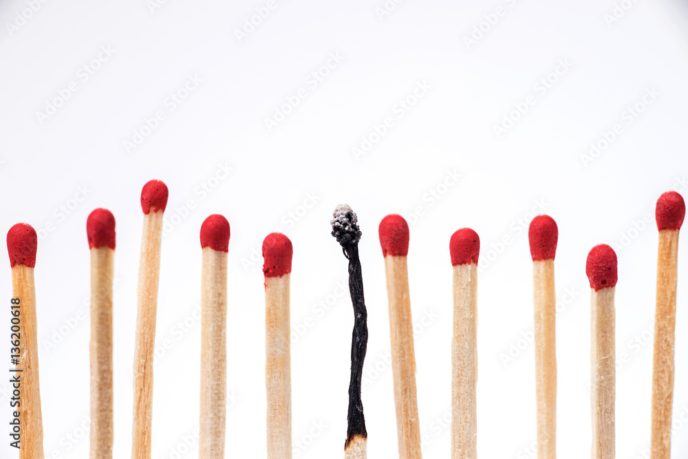 Burnt match between new matchsticks, shallow depth of field Burnt match between new matchsticks, shallow depth of field
