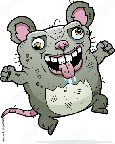Crazy Ugly Rat