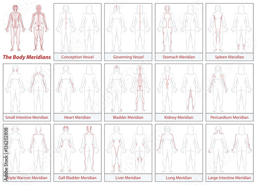 Fototapeta Naklejka Na Ścianę i Meble -  Body meridians chart - female body - schematic diagram with main acupuncture meridians and their directions of flow.