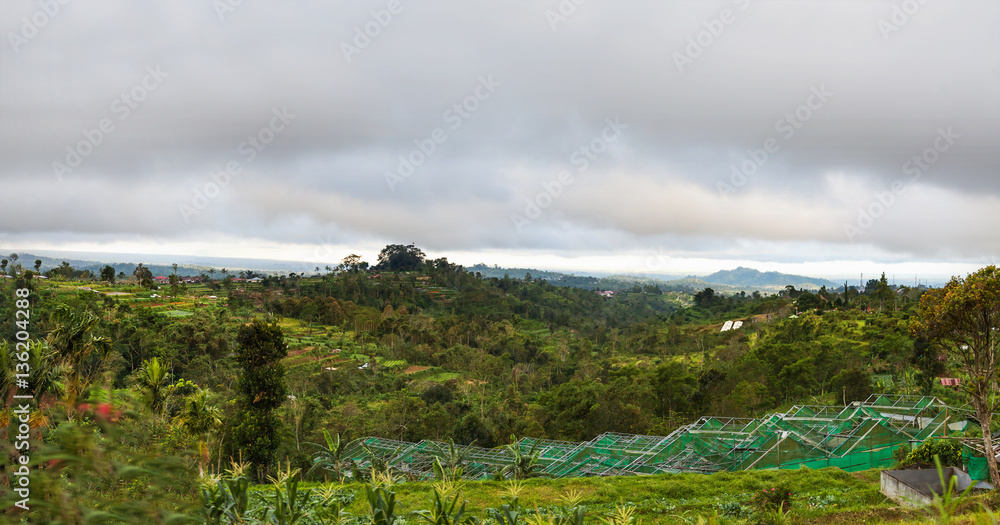 Large panorama view on agricultural fields near Batur volcano, Kintamani. Winter rainy and cloudy season. Bali, Indonesia.