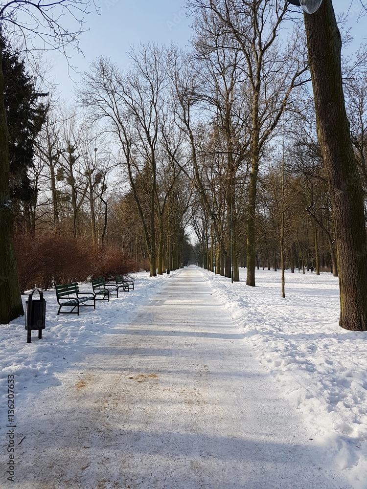 Naklejka premium Pusta droga