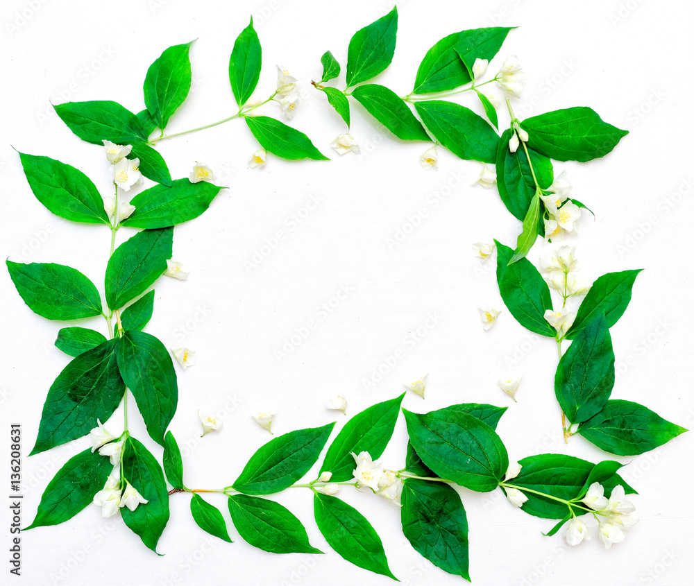Wreath of jasmine flowers and leaves on the white background Wreath of jasmine flowers and leaves on the white background