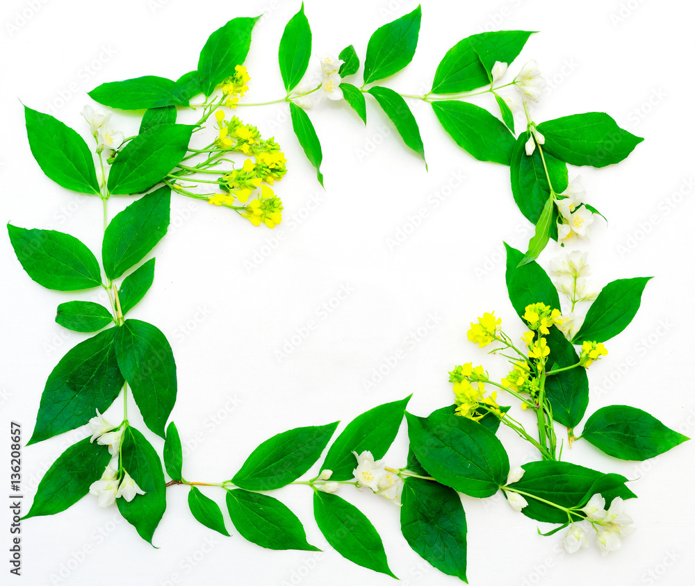 Fototapeta premium Wreath of jasmine flowers and leaves and yellow flowers