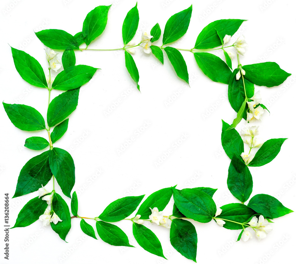 Wreath of jasmine flowers and leaves on white background Wreath of jasmine flowers and leaves on white background