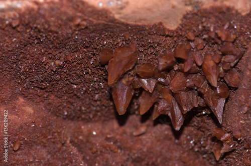 Brown calcite crystal growing from the ceiling of a rock cavity photo