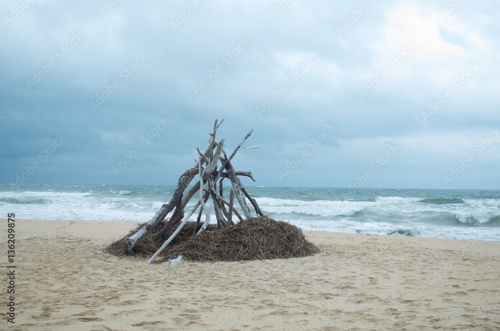 Fototapeta premium Driftwood 
