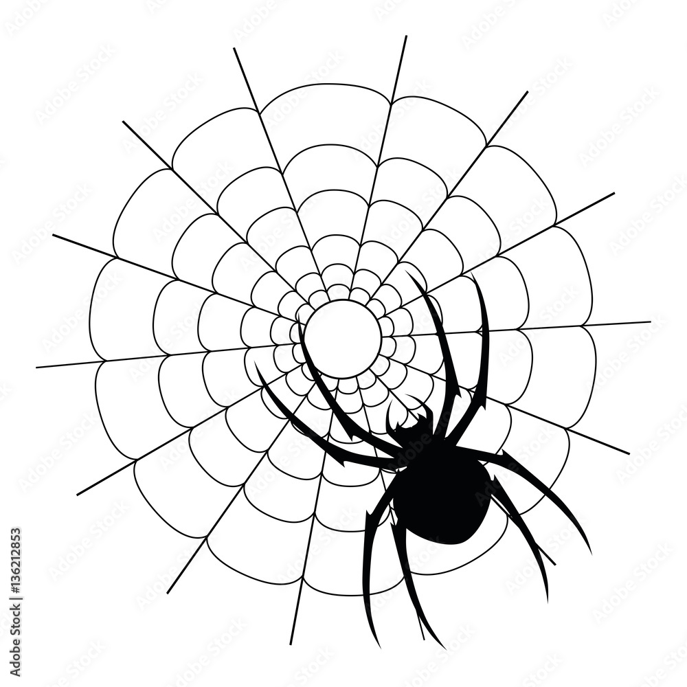 Obraz premium Vector black spider and web silhouette