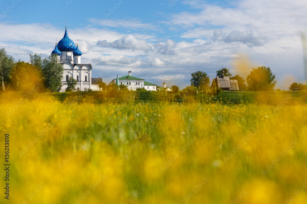 Summer landscape with yellow flowers in a meadow and a view of the Suzdal Kremlin