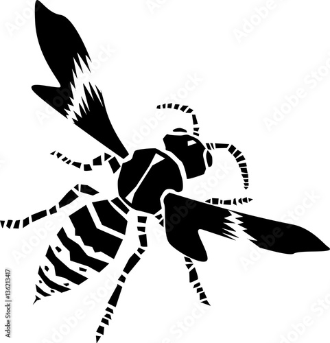 Wasp vector illustration