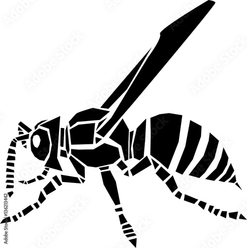 Wasp vector illustration