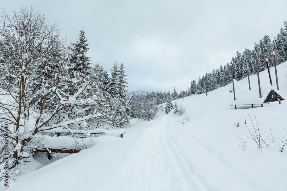 Winter Ukrainian Carpathian Mountains landscape. Winter Ukrainian Carpathian Mountains landscape.