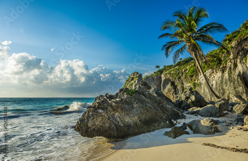Caribbean beach with coconut palm, Tulum, Mexico