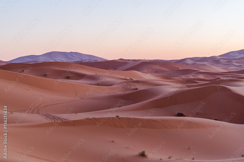 desert sand
