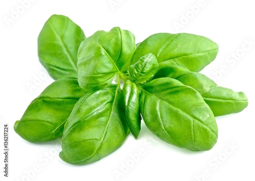 Photos Basil leaves isolated