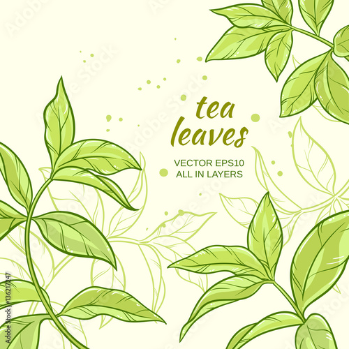 tea leaves background