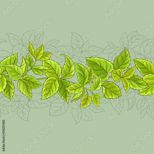 melissa vector pattern