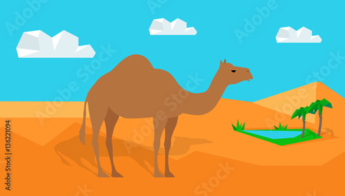 Dromedary Camel in Desert Vector in Flat Design