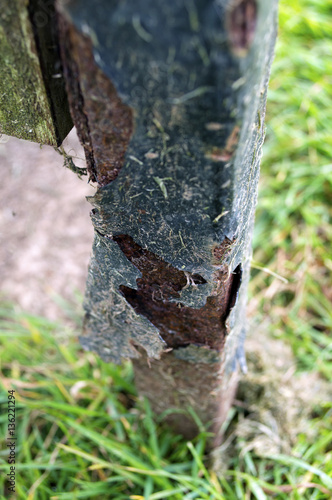 Metal rusting away in nature
